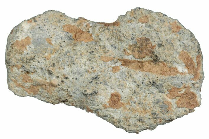 Lunar Meteorite ( g) - Bechar #288497